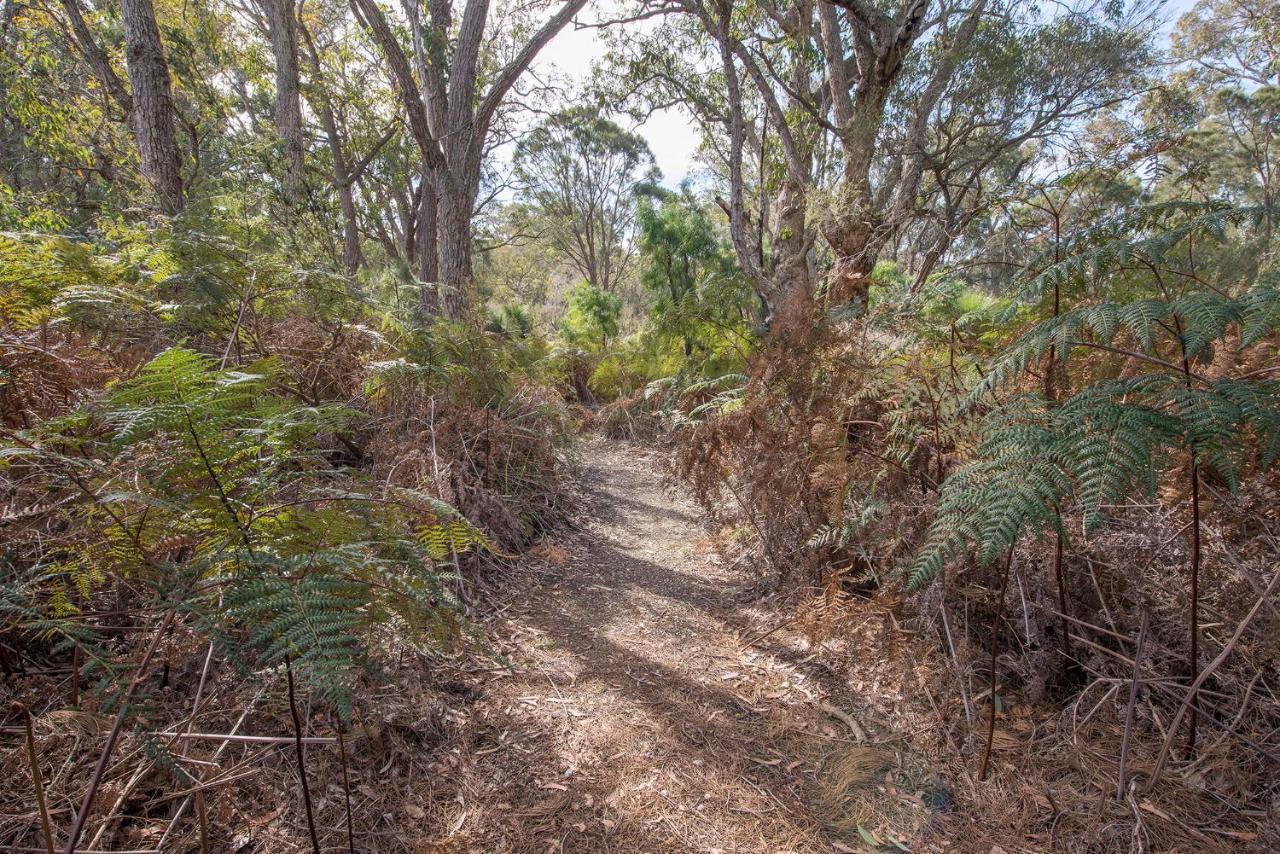Yelverton Brook Conservation Sanctuary Metricup المظهر الخارجي الصورة