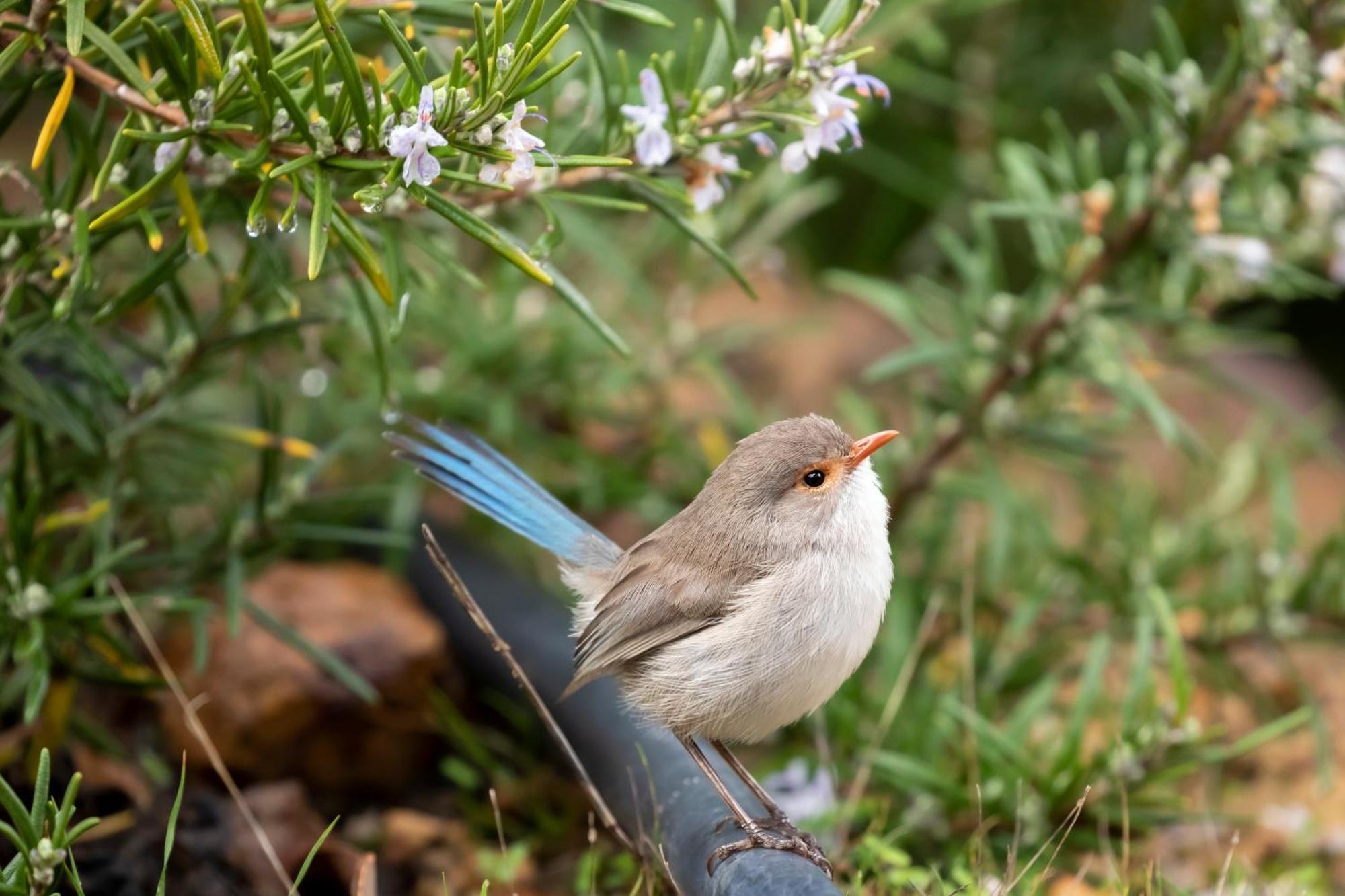 Yelverton Brook Conservation Sanctuary Metricup المظهر الخارجي الصورة