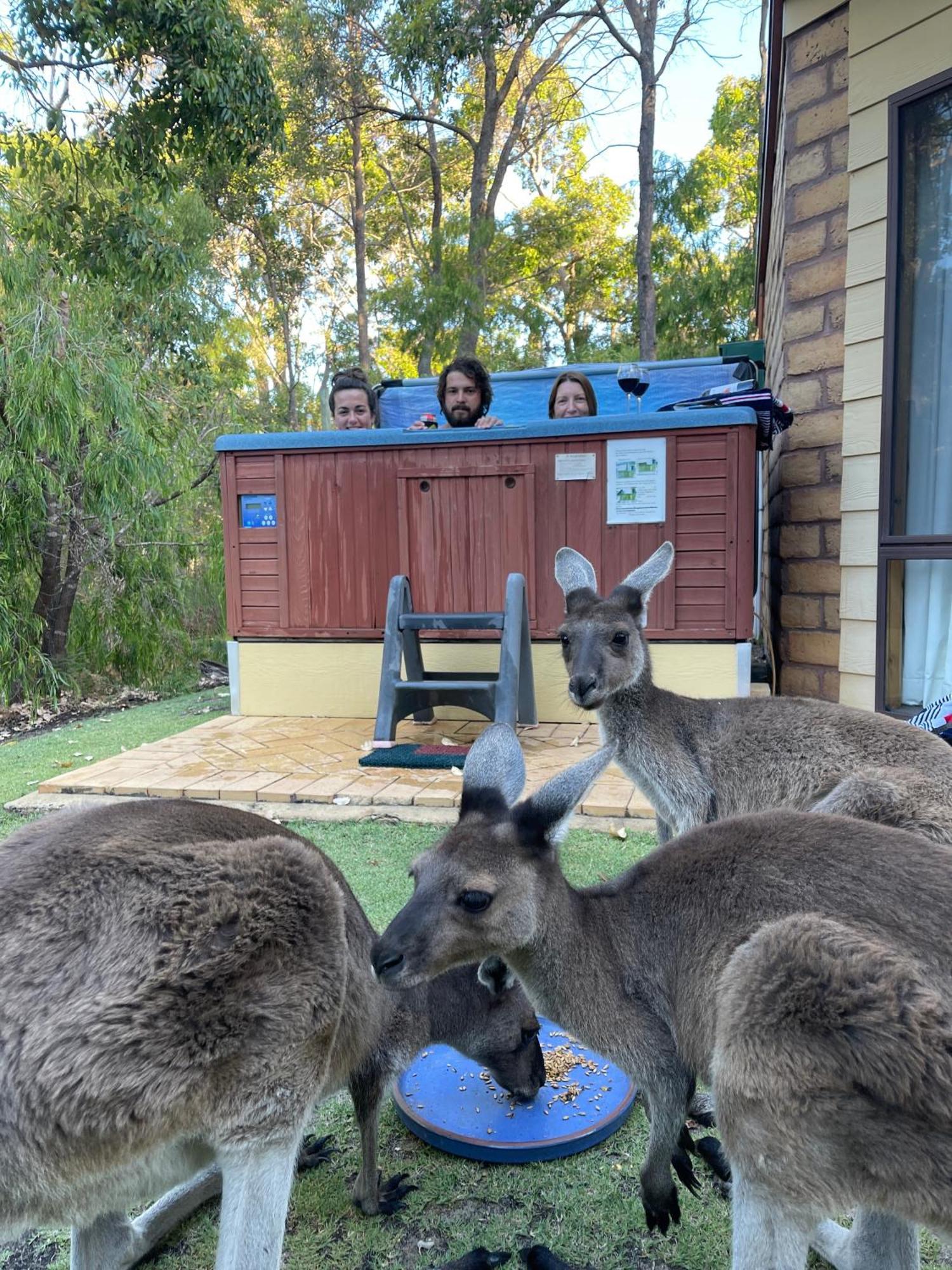 Yelverton Brook Conservation Sanctuary Metricup المظهر الخارجي الصورة