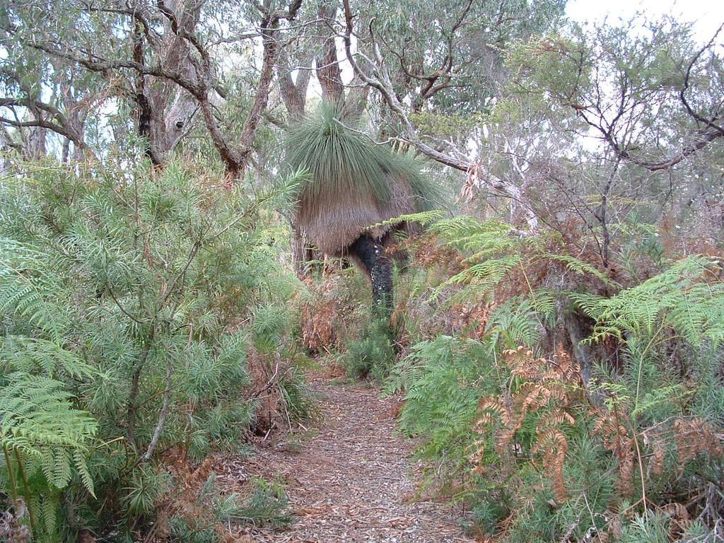 Yelverton Brook Conservation Sanctuary Metricup المظهر الخارجي الصورة